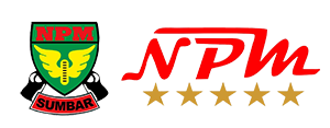 logo npm